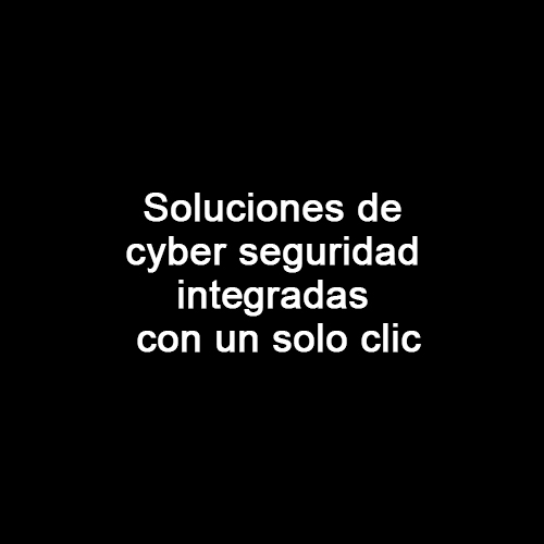 cyber-seguridad2