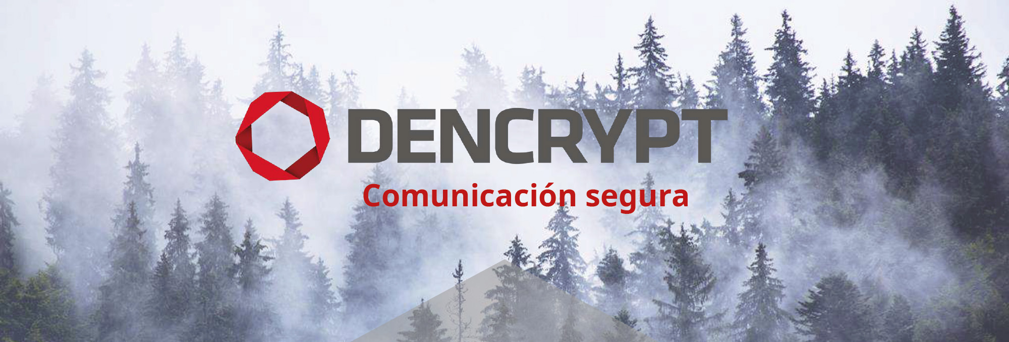 Dencrypt_Brochure_ Imagen pagina HEADER 01