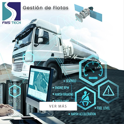 FMS Portada 02