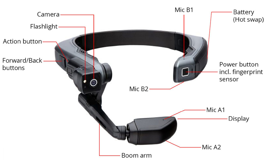 SAPIENS todas los chiches