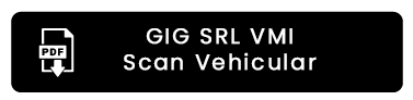 Boton GIG SRL_VMI_Scan Cargo_Vehicular
